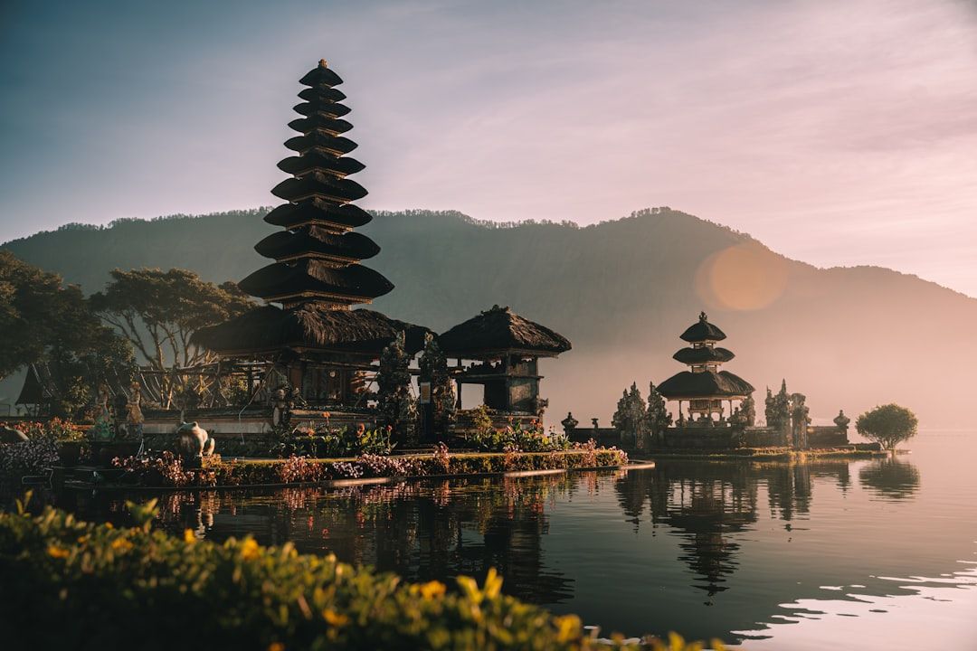 Work from Bali